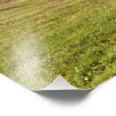 Ahornbaum mit brennenden roten Blätter Fotodruck (Ecke)