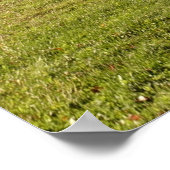 Ahornbaum mit brennenden roten Blätter Poster (Ecke)