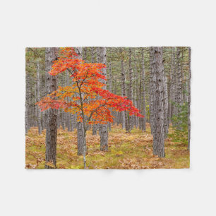 Ahornbaum mit Herbstfarben Fleecedecke