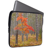 Ahornbaum mit Herbstfarben Laptopschutzhülle (Vorne Rechts)