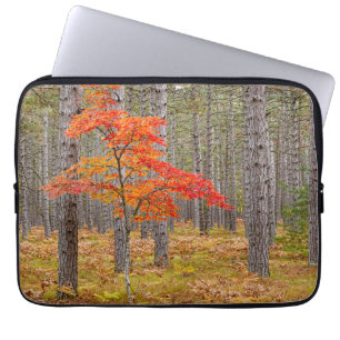 Ahornbaum mit Herbstfarben Laptopschutzhülle