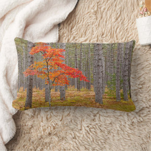 Ahornbaum mit Herbstfarben Lendenkissen