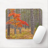 Ahornbaum mit Herbstfarben Mousepad (Mit Mouse)