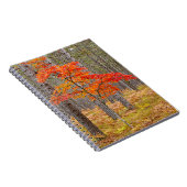 Ahornbaum mit Herbstfarben Notizblock (Rechte Seite)