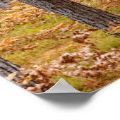 Ahornbaum mit Herbstfarben Poster (Ecke)