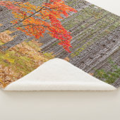 Ahornbaum mit Herbstfarben Sherpadecke (3/4)
