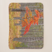 Ahornbaum mit Herbstfarben Sherpadecke (Vorderseite)