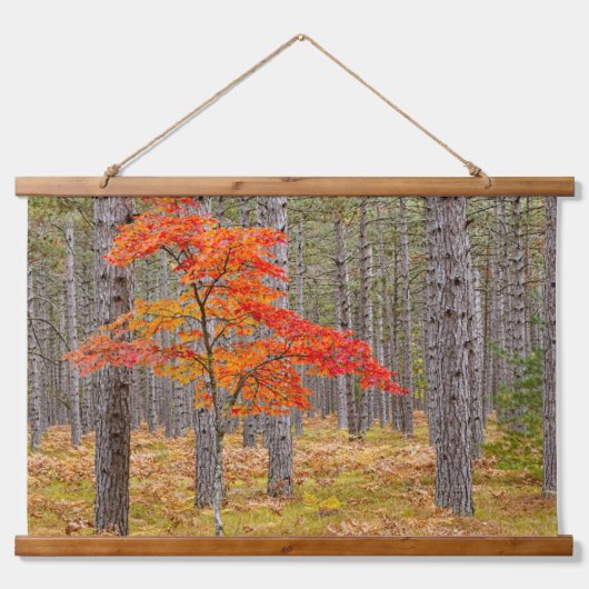 Ahornbaum mit Herbstfarben Wandteppich Mit Holzrahmen (Vorne)