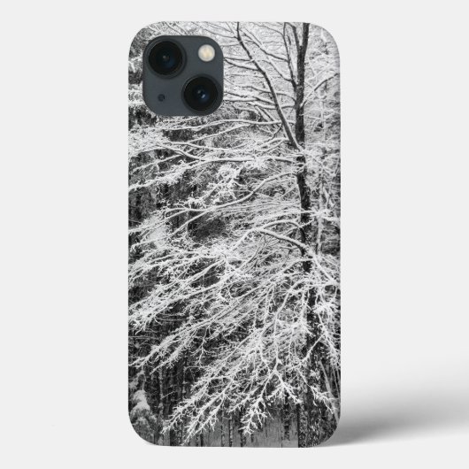 Ahornbaum mit Schnee Case-Mate iPhone Hülle (Rückseite)