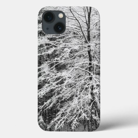 Ahornbaum mit Schnee Case-Mate iPhone Hülle (Rückseite)