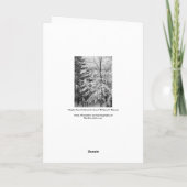 Ahornbaum mit Schnee Feiertagskarte (Rückseite)