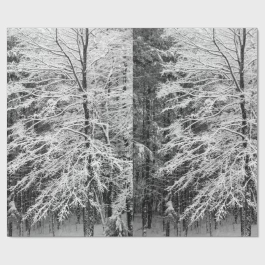 Ahornbaum mit Schnee Geschenkpapier (Flach)