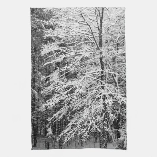 Ahornbaum mit Schnee Küchentuch (Vertikal)