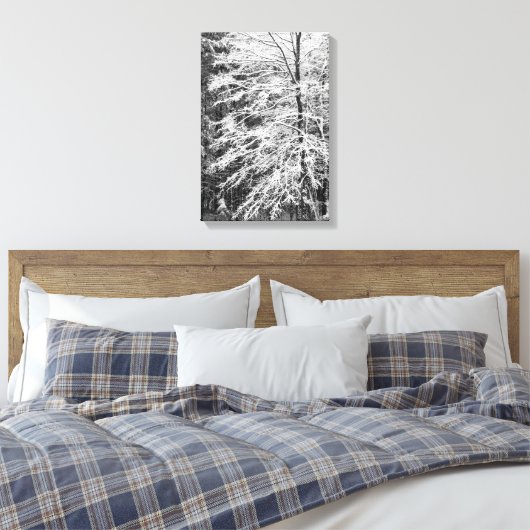 Ahornbaum mit Schnee Leinwanddruck (Insitu (Schlafzimmer))