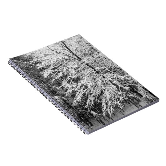 Ahornbaum mit Schnee Notizblock (Rechte Seite)