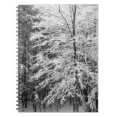 Ahornbaum mit Schnee Notizblock (Vorderseite)