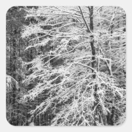 Ahornbaum mit Schnee Quadratischer Aufkleber