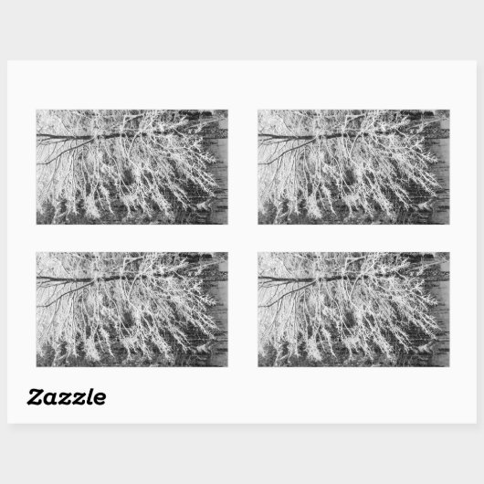 Ahornbaum mit Schnee Rechteckiger Aufkleber (Blatt)