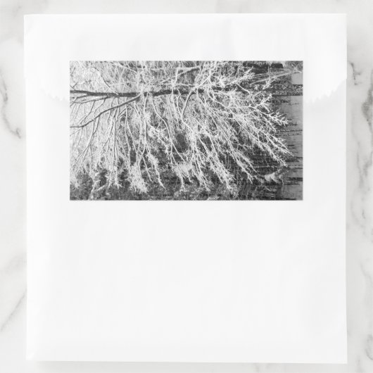 Ahornbaum mit Schnee Rechteckiger Aufkleber (Tasche)