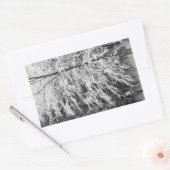 Ahornbaum mit Schnee Rechteckiger Aufkleber (Umschlag)
