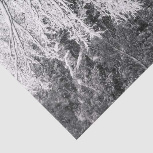 Ahornbaum mit Schnee Seidenpapier (Detail)