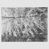 Ahornbaum mit Schnee Seidenpapier (Vorderseite)