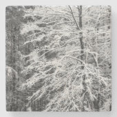 Ahornbaum mit Schnee Steinuntersetzer (Vorderseite)