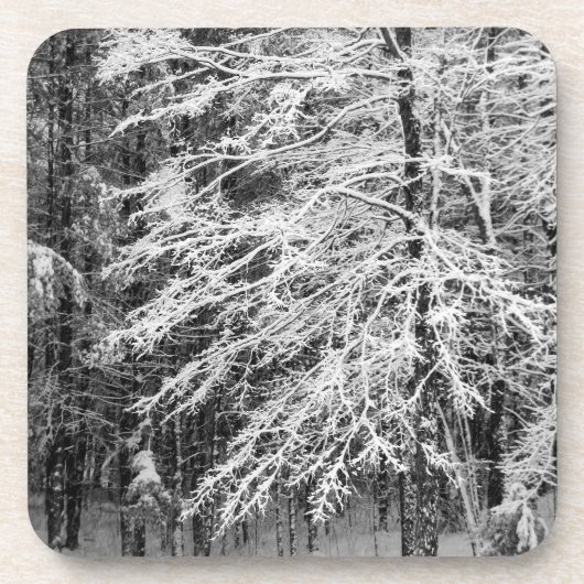 Ahornbaum mit Schnee Untersetzer (Vorderseite)