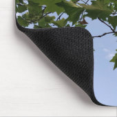 Ahornbaum Mousepad (Ecke)