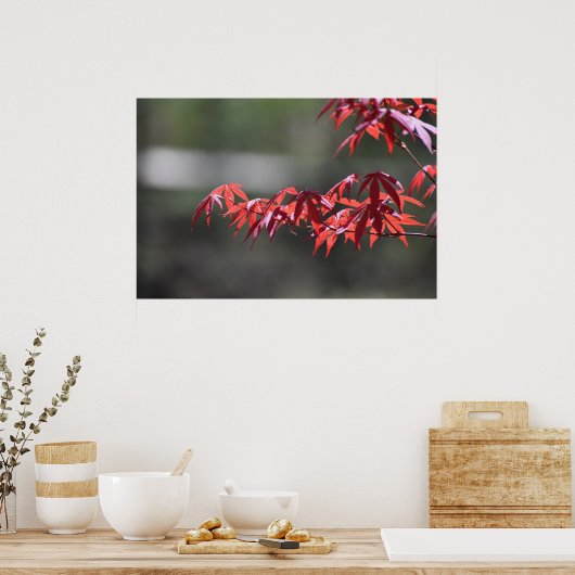 Ahornbaum, Poster (Küche)