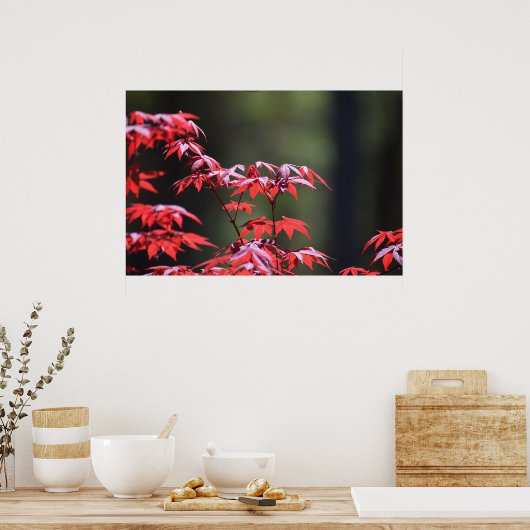 Ahornbaum, Poster (Küche)