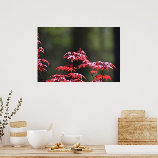 Ahornbaum, Poster (Küche)