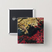 Ahornbäume im Herbst Button (Vorne & Hinten)