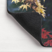 Ahornbäume im Herbst Mousepad (Ecke)