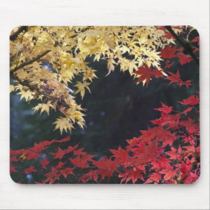 Ahornbäume im Herbst Mousepad
