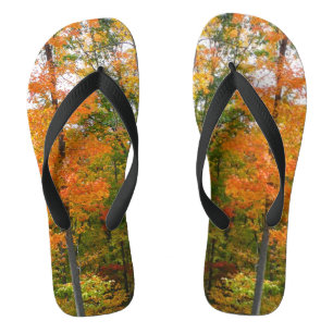 Ahornbäume im Herbst Naturfotografie Badesandalen