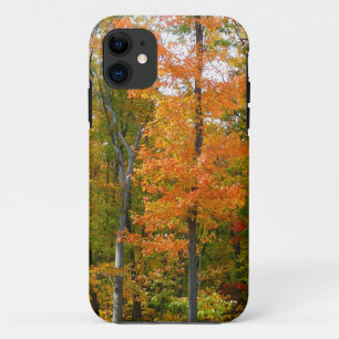 Ahornbäume im Herbst Naturfotografie iPhone 11 Hülle