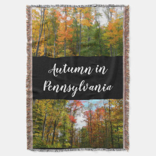 Ahornbäume im Herbst Naturfotografie Decke