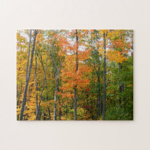Ahornbäume im Herbst - Naturfotografie Puzzle