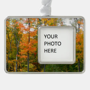 Ahornbäume im Herbst - Naturfotografie Rahmen-Ornament Silber
