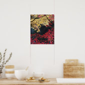 Ahornbäume im Herbst Poster (Küche)