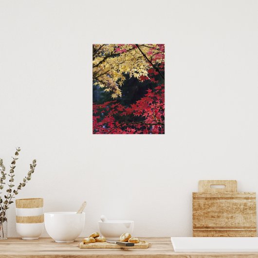 Ahornbäume im Herbst Poster (Küche)