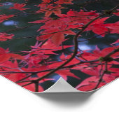 Ahornbäume im Herbst Poster (Ecke)