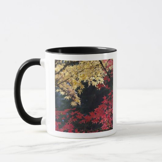 Ahornbäume im Herbst Tasse (Links)
