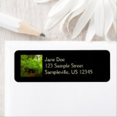 Ahornbäume im Redwood-Wald (Insitu)