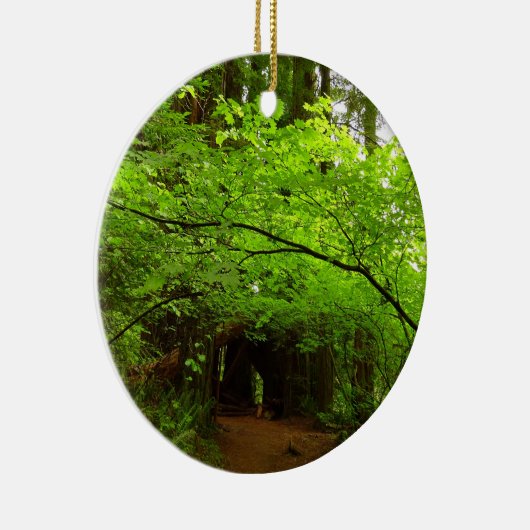 Ahornbäume im Redwood-Wald Keramikornament (Rechts)