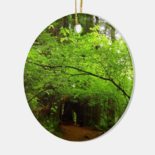 Ahornbäume im Redwood-Wald Keramikornament (Links)