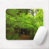 Ahornbäume im Redwood-Wald Mousepad (Mit Mouse)
