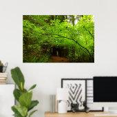 Ahornbäume im Redwood-Wald Poster (Heimbüro)