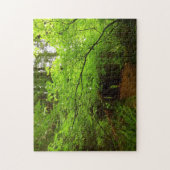 Ahornbäume im Redwood-Wald Puzzle (Vertikal)